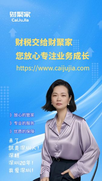 财税咨询